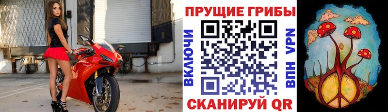 Псилоцибиновые грибы прущие грибы Озёрск